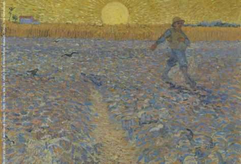 Van Gogh a Trieste