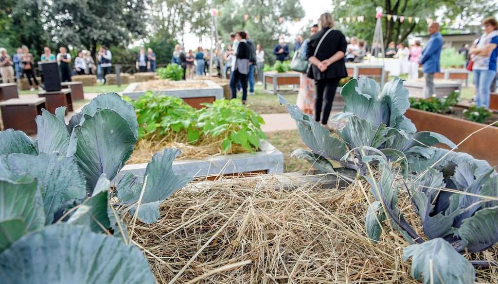 Orti sociali a Muzzana del Turgnano