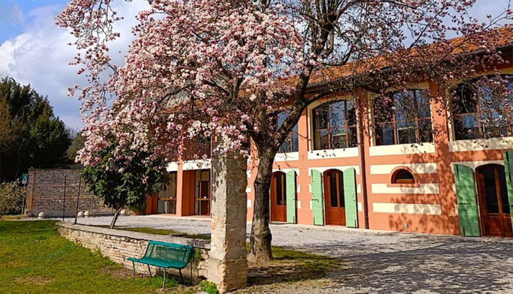 La biblioteca di Casarsa