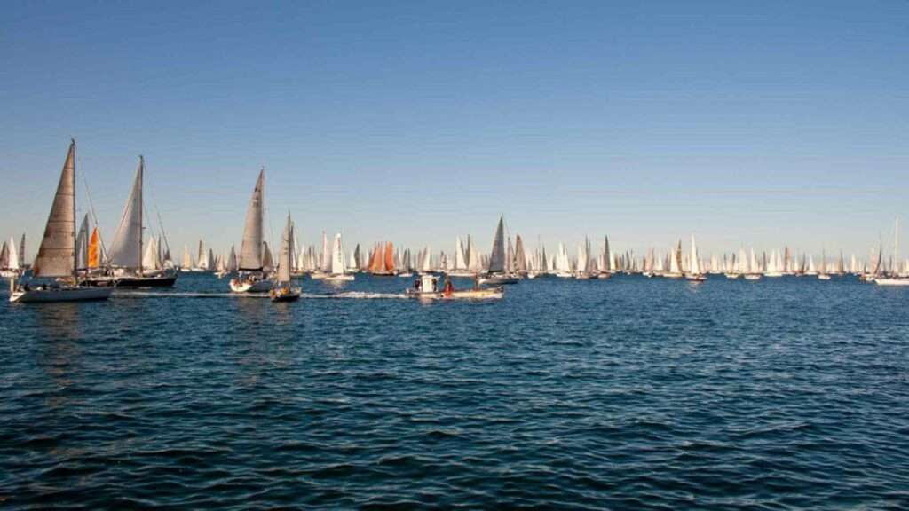 barcolana