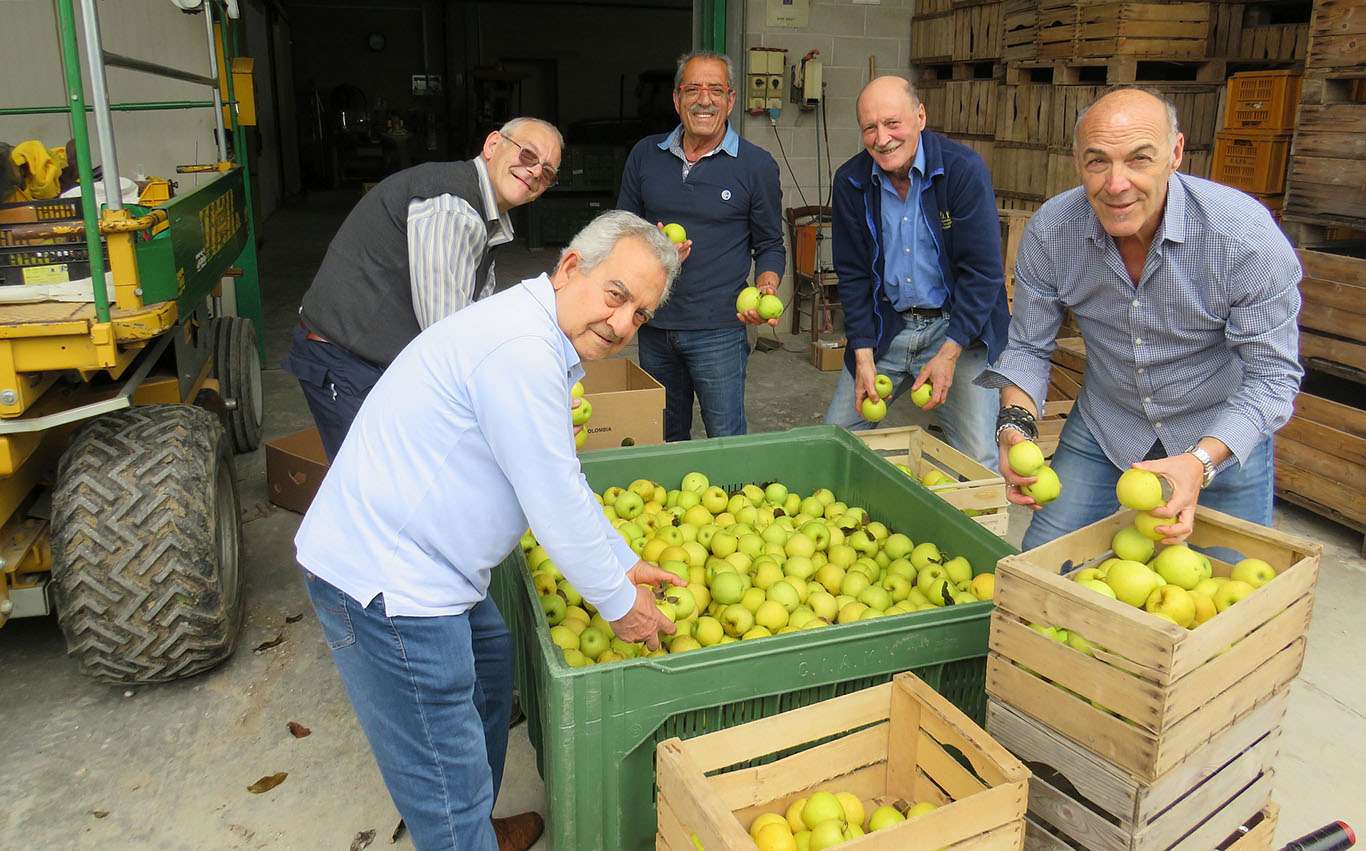 I volontari degli empori della solidarietà recuperano le mele donate