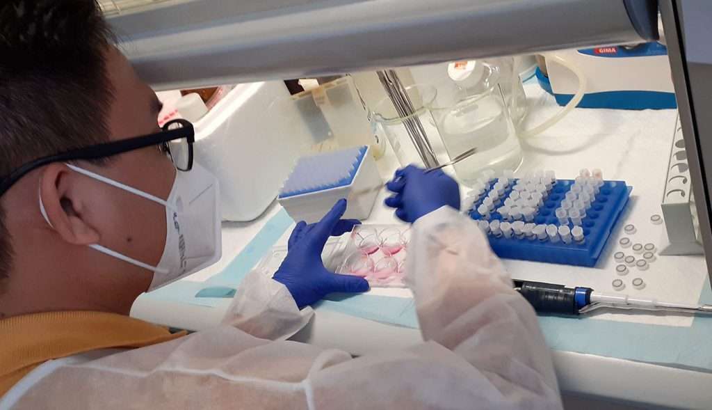 FIF laboratorio a Trieste
