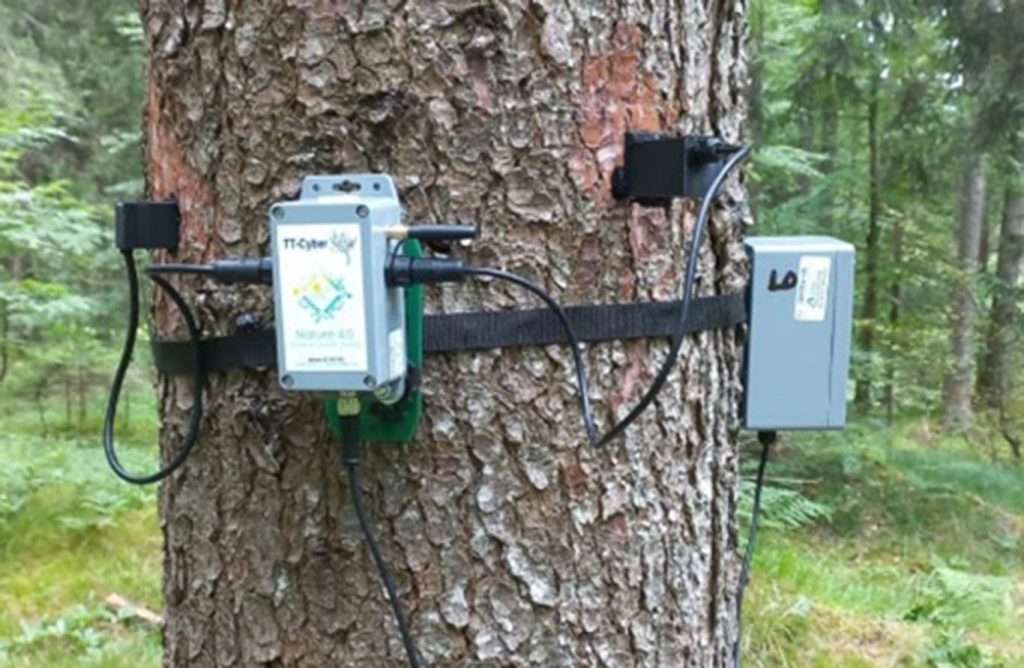 Dispositivo Tree Talker applicato ad un albero 1