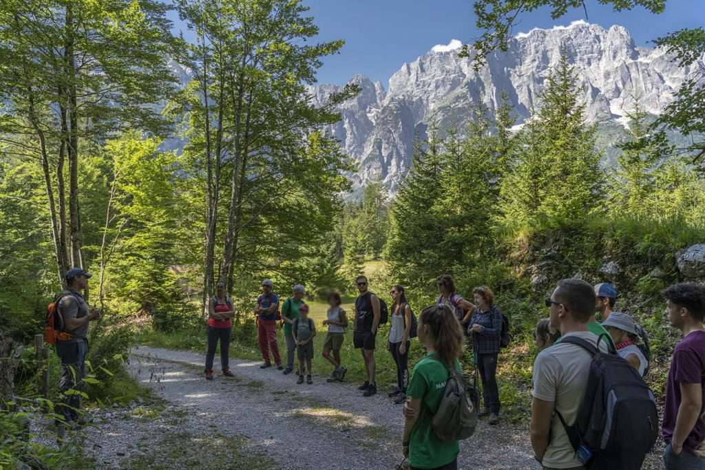 NV 22 Green Experience Davide5