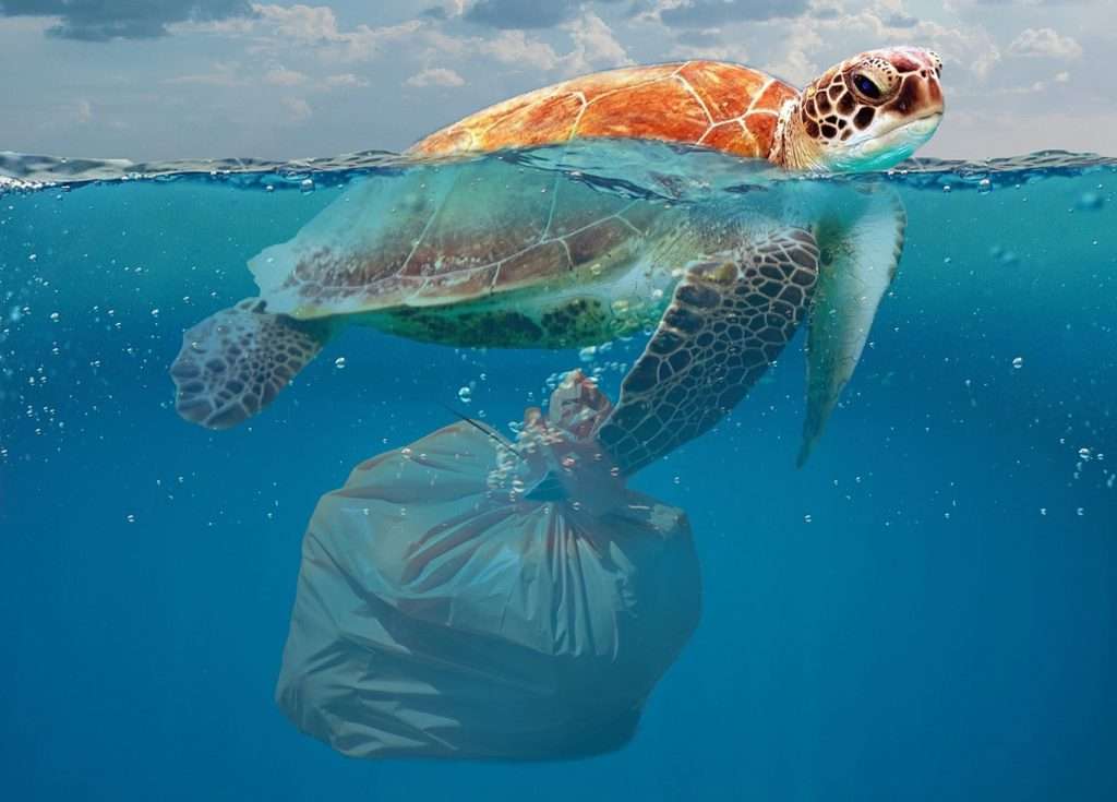 environmental peteLinforth