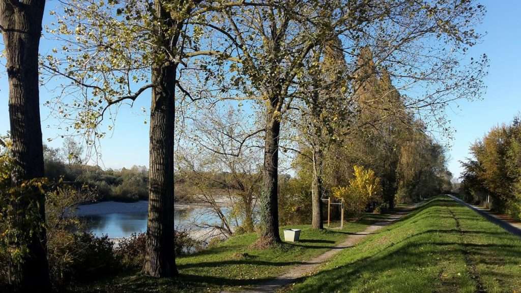 Progetto Isonzo 2024 7