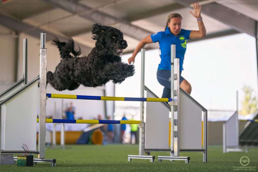 agility