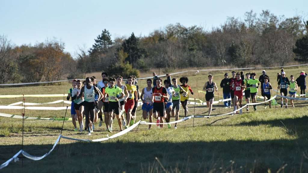 Carsolina Cross 2023 buenasAgency