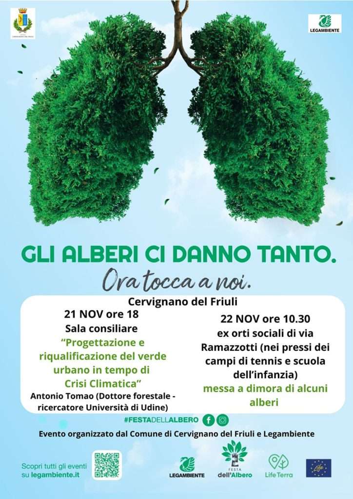 Festaalbero