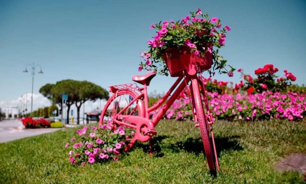 Grado Comune Fiorito 1