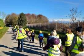 campolongo tapogliano festa degli alberi 2024 01