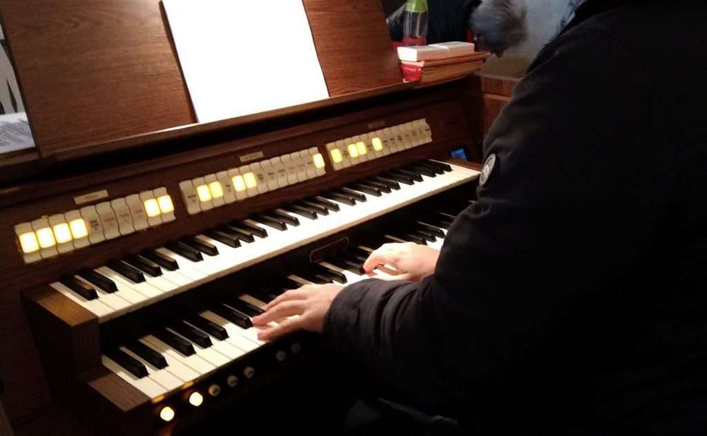 nuovo organo 01