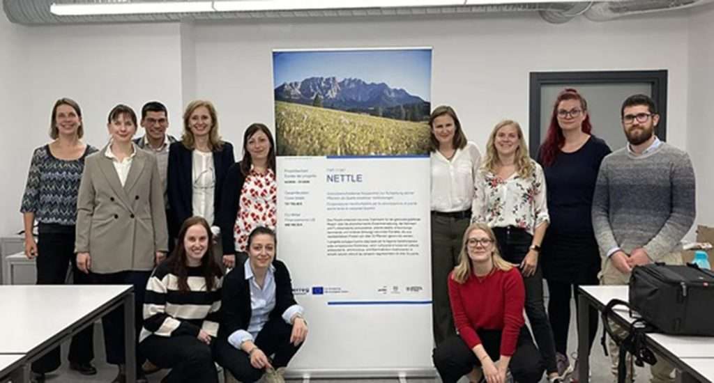 Il gruppo di lavoro di Nettle