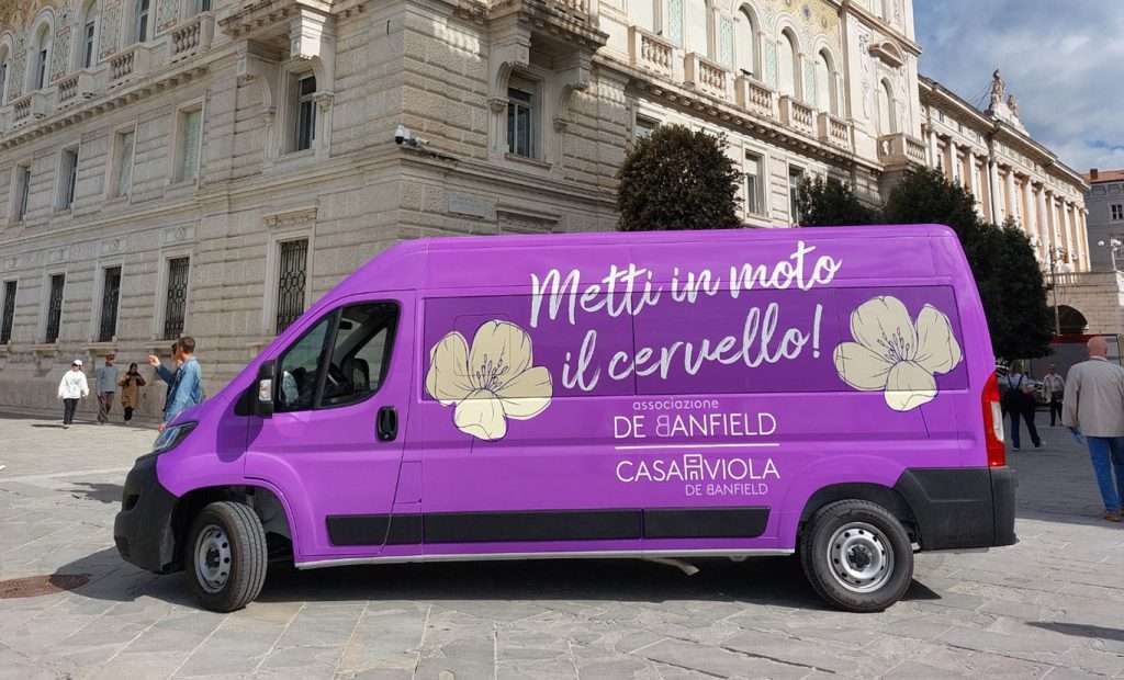 Pulmino viola de Banfield1