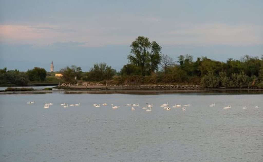 6 Laguna di Grado