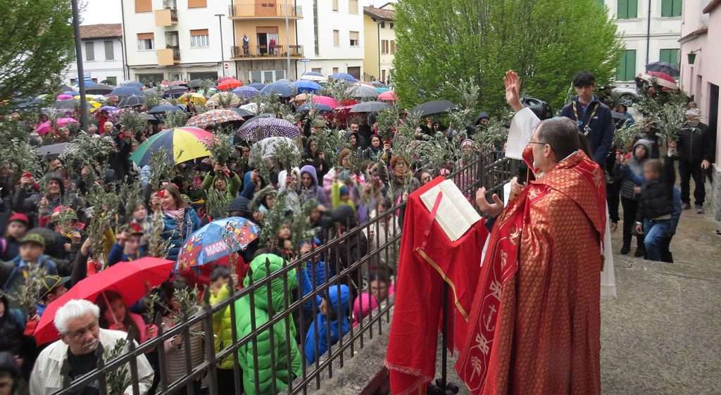 palme cervignano 2025 01