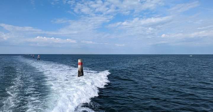 LM TS mare