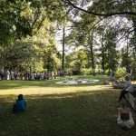 TreeArt Festival edizione 2023 3