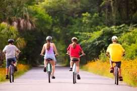 bici