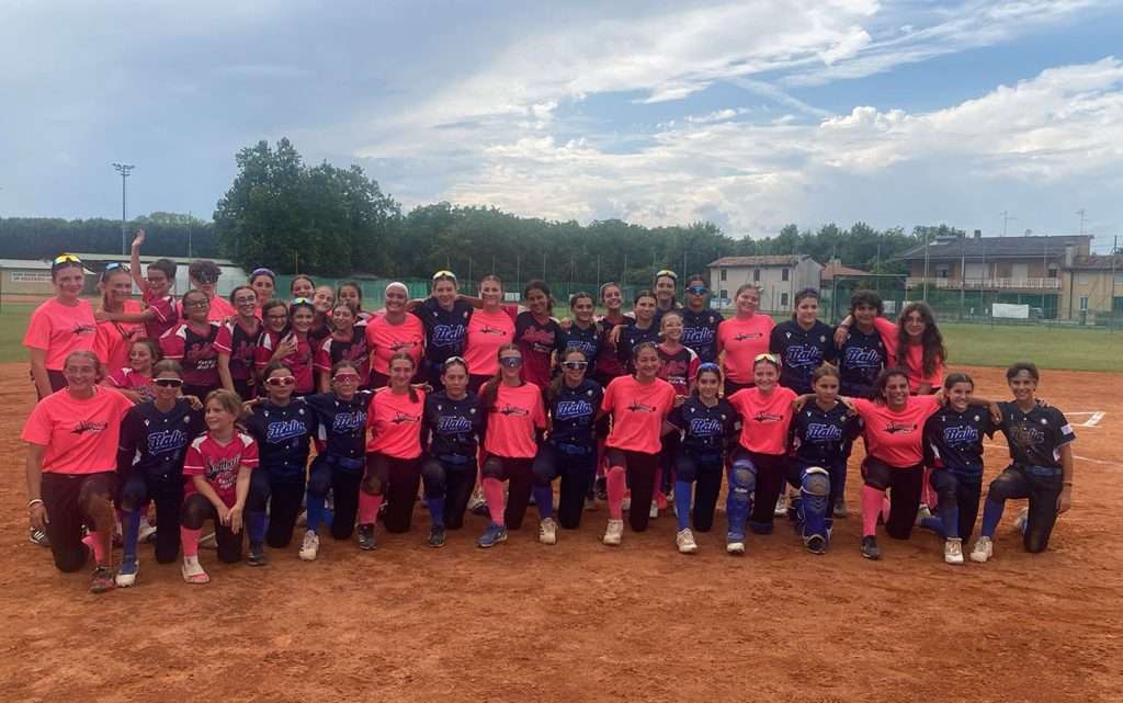 summer softball 01