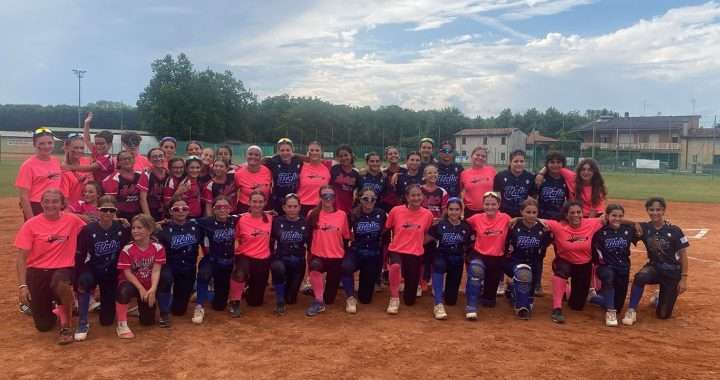 summer softball 01