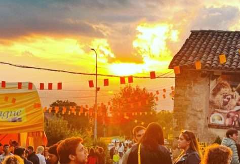 Valle Festa Castagne