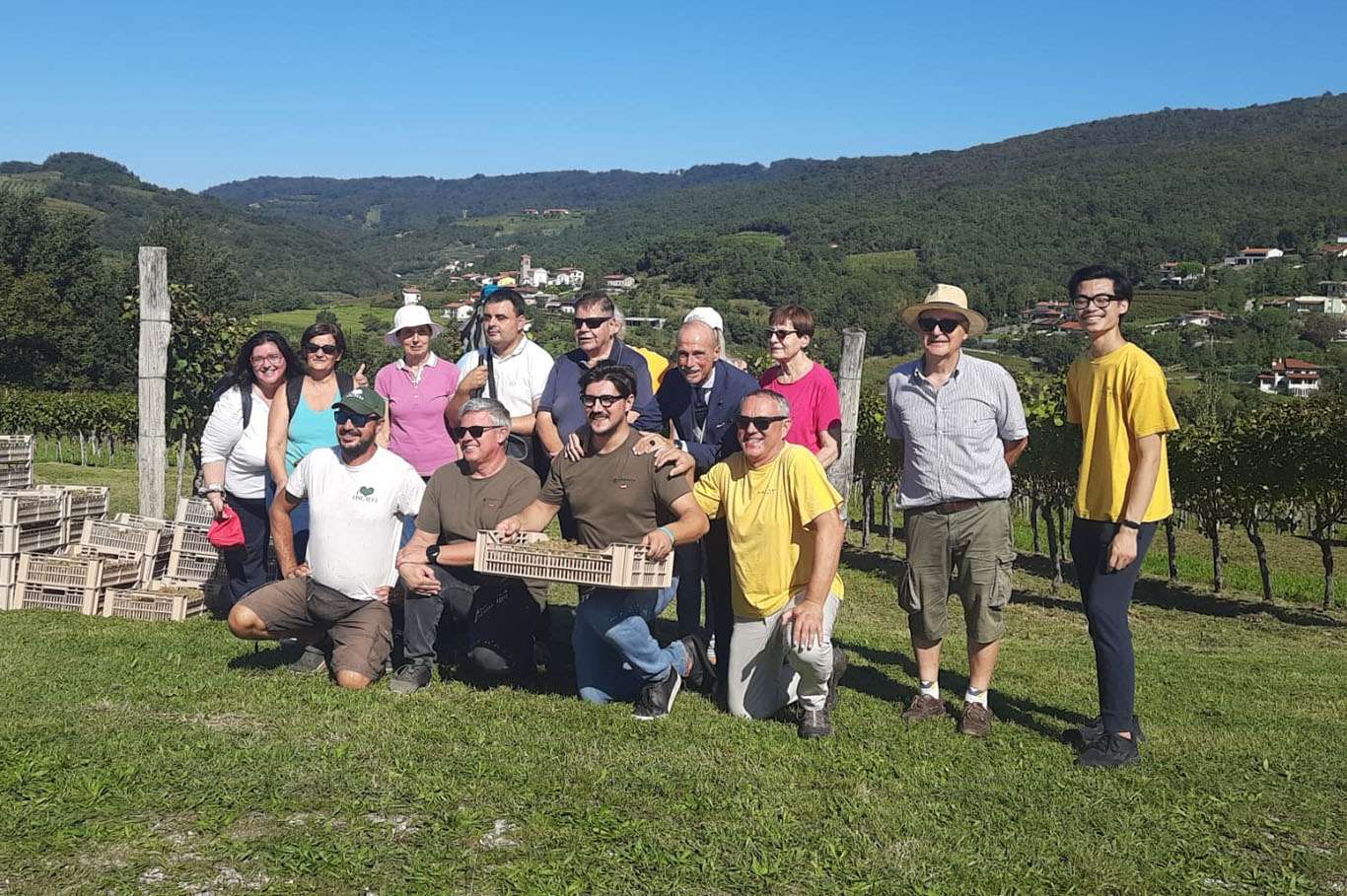 Vendemmia Solidale 3