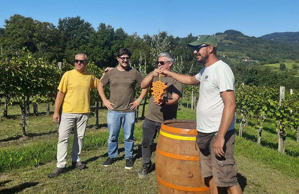 Vendemmia Solidale Passaggio del Grappolo