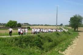walk for the cure 04