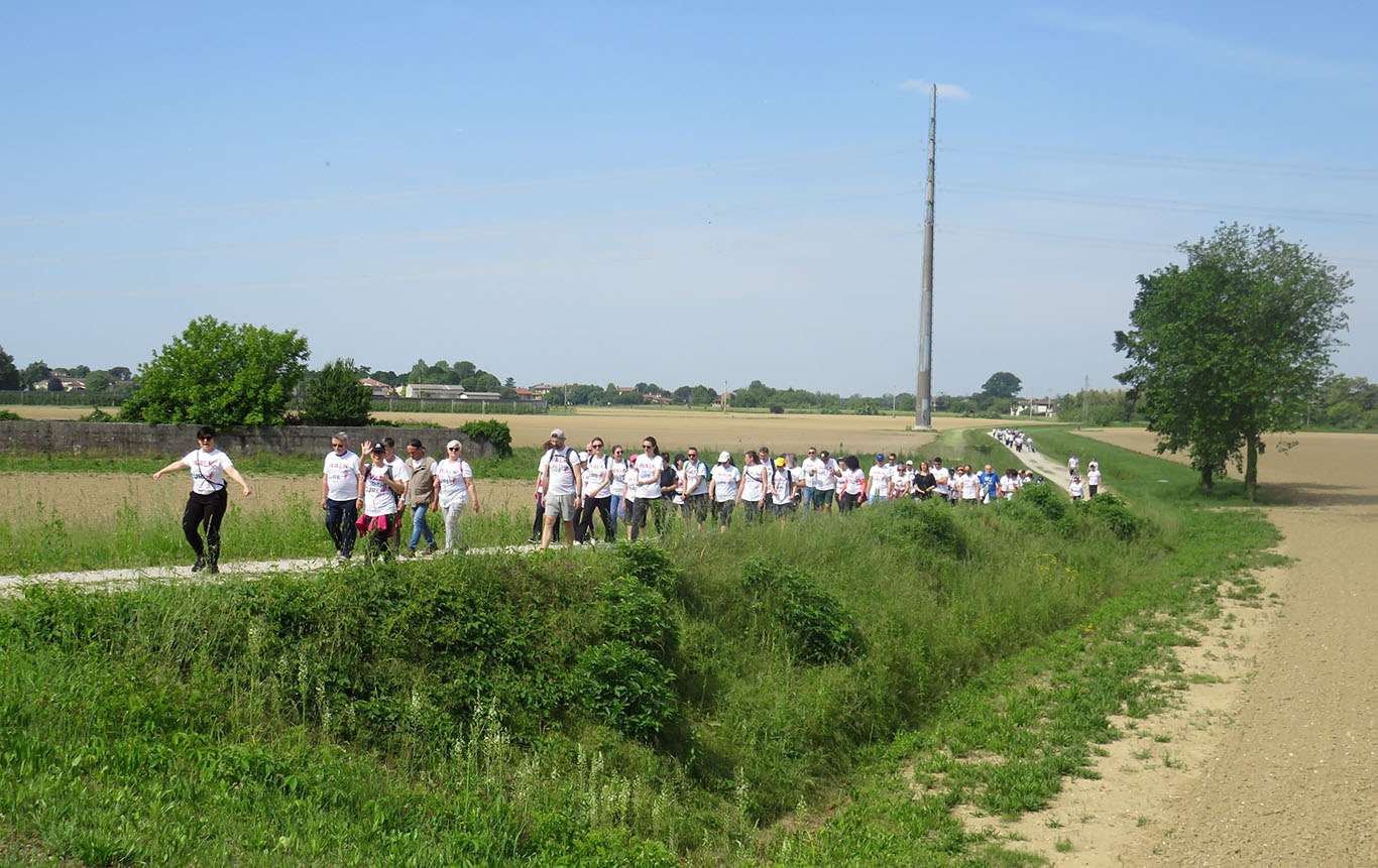 walk for the cure 04