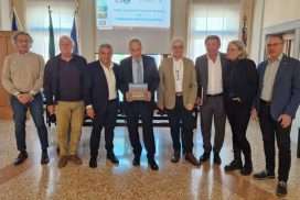 Abete Canciani a Palmanova (4)
