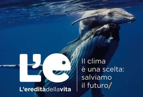 GORIZIA 2025 WEB