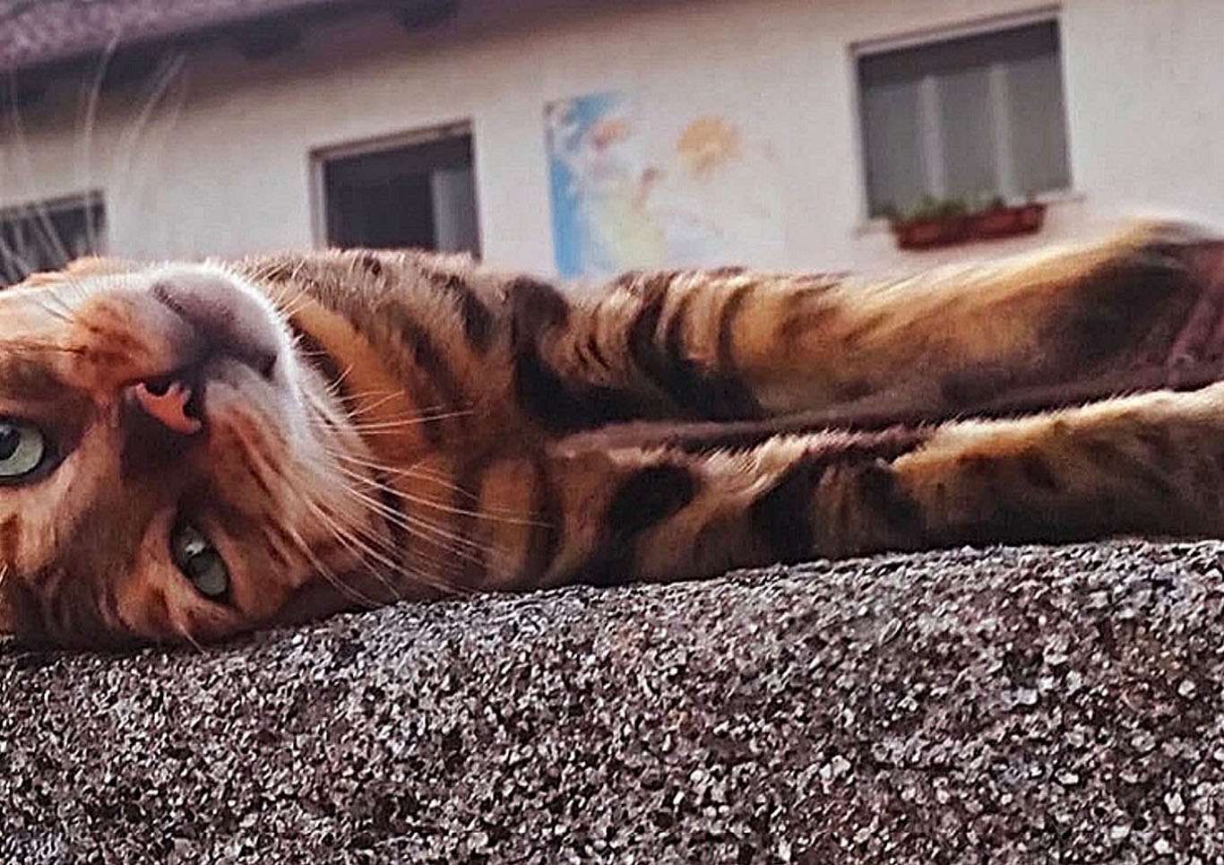 2 classificata RELAX si Sofia Boschi di Aiello