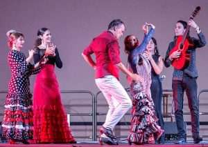 FlamencoNuevo1
