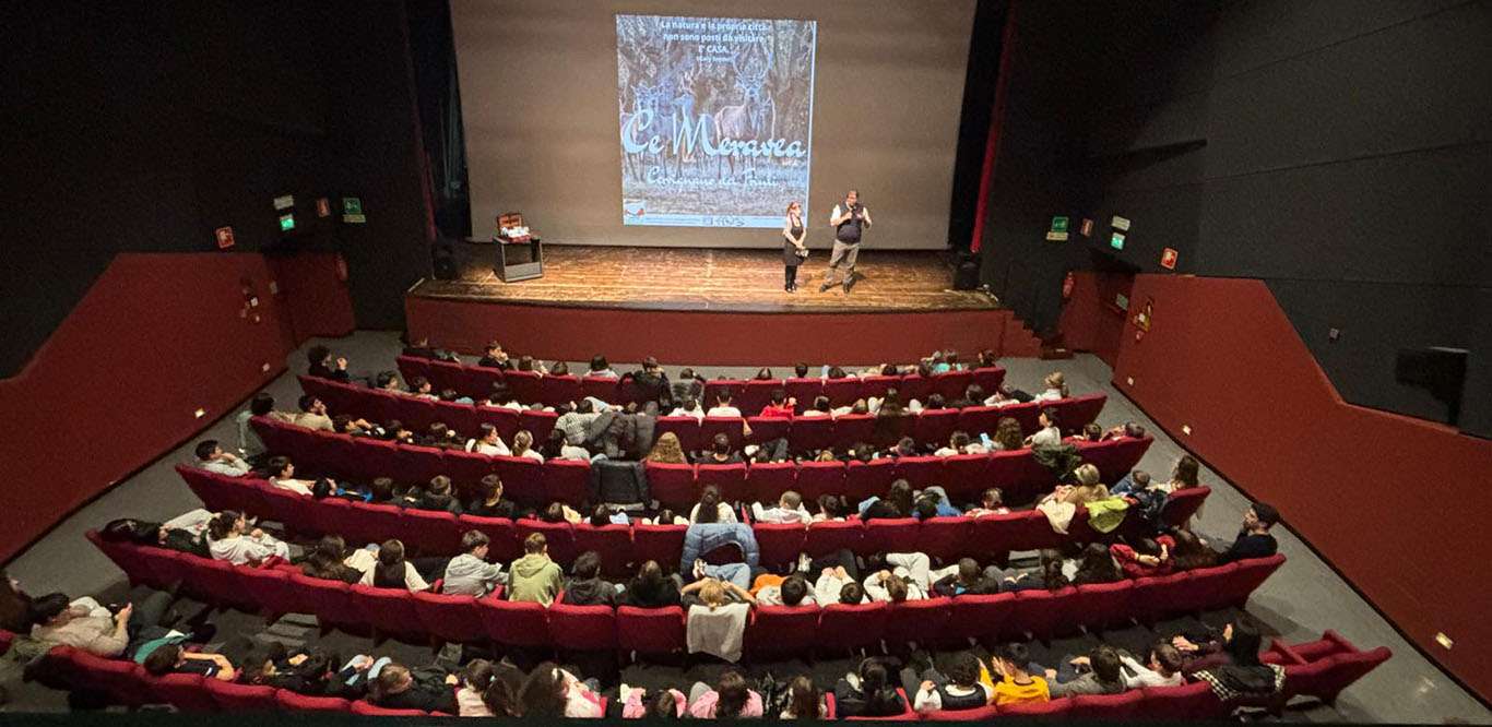 WhatsApp Image 2025 11 03 at 20.44.33