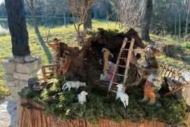 WhatsApp Image 2025-11-27 at 09.12.04 (2)