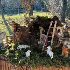 WhatsApp Image 2025 11 27 at 09.12.04 2