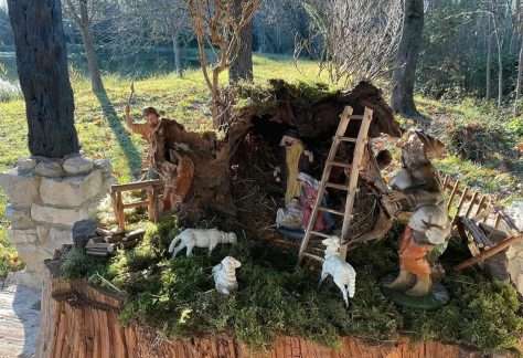 WhatsApp Image 2025 11 27 at 09.12.04 2