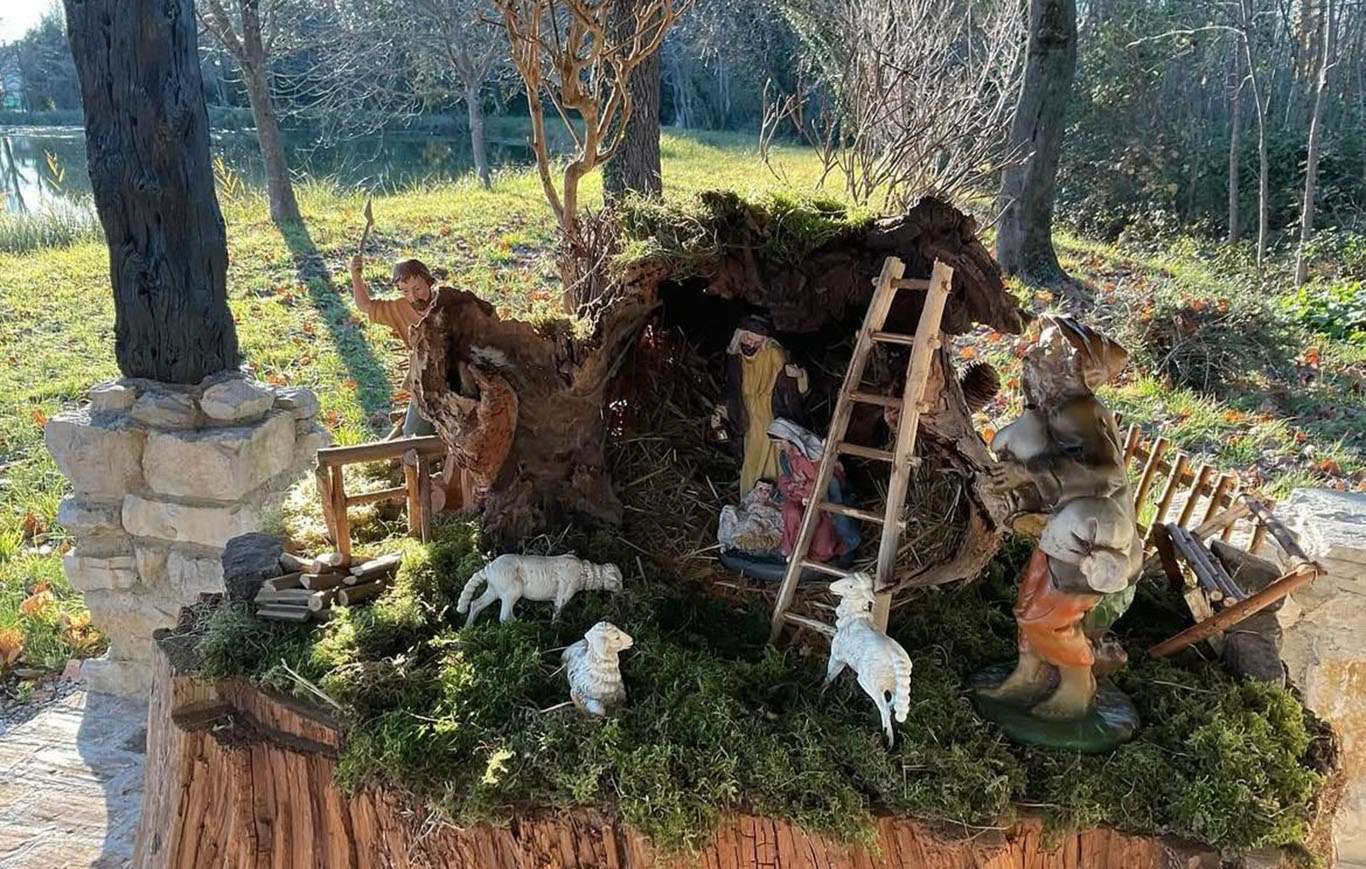 WhatsApp Image 2025 11 27 at 09.12.04 2