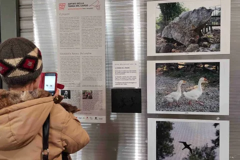 foto3d
