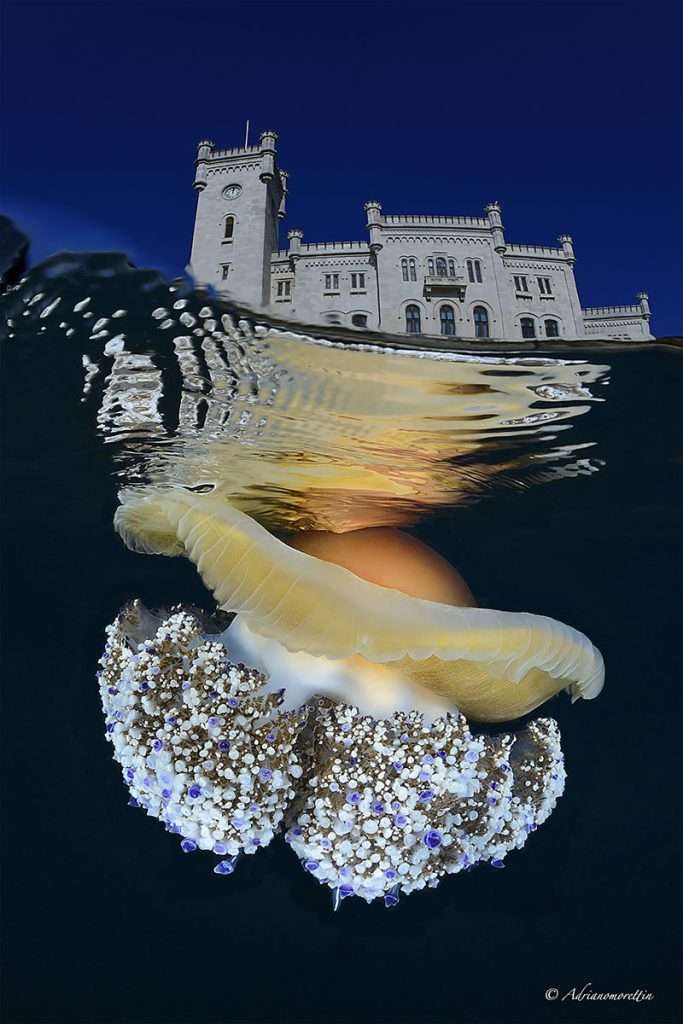 journal.pone .0336682.g001