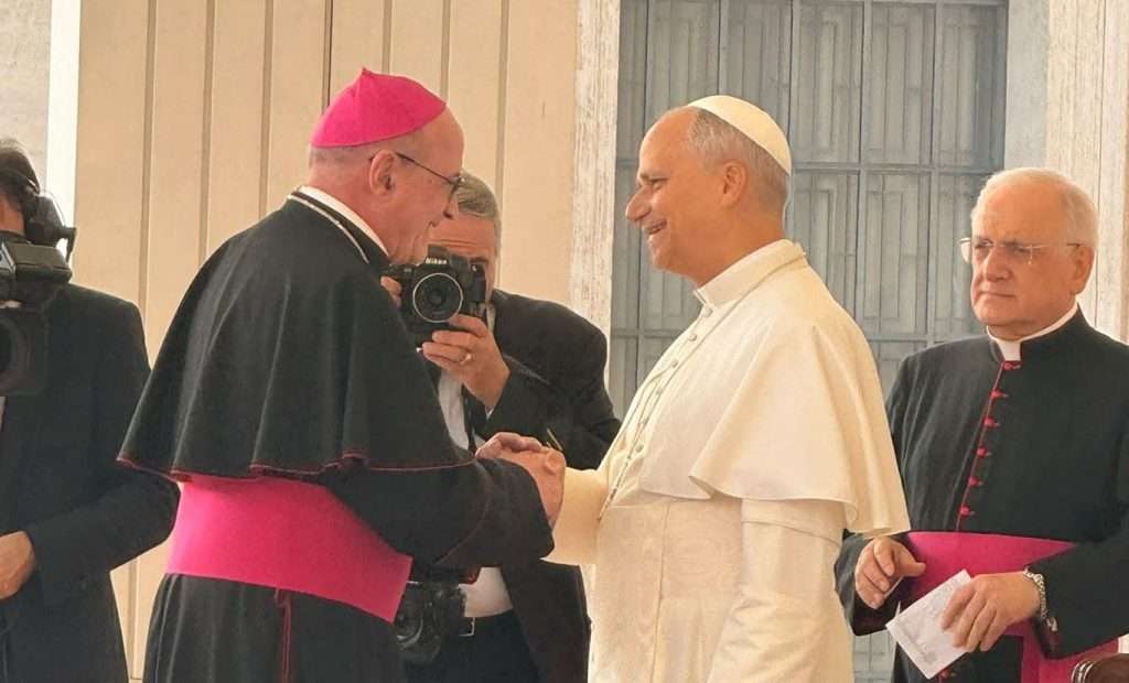 redaelli papa