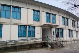 WhatsApp Image 2026-02-12 at 14.57.12