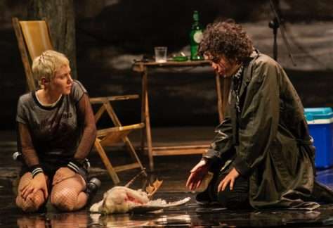 IlGabbianoFilippoDini311025 SerenaPea