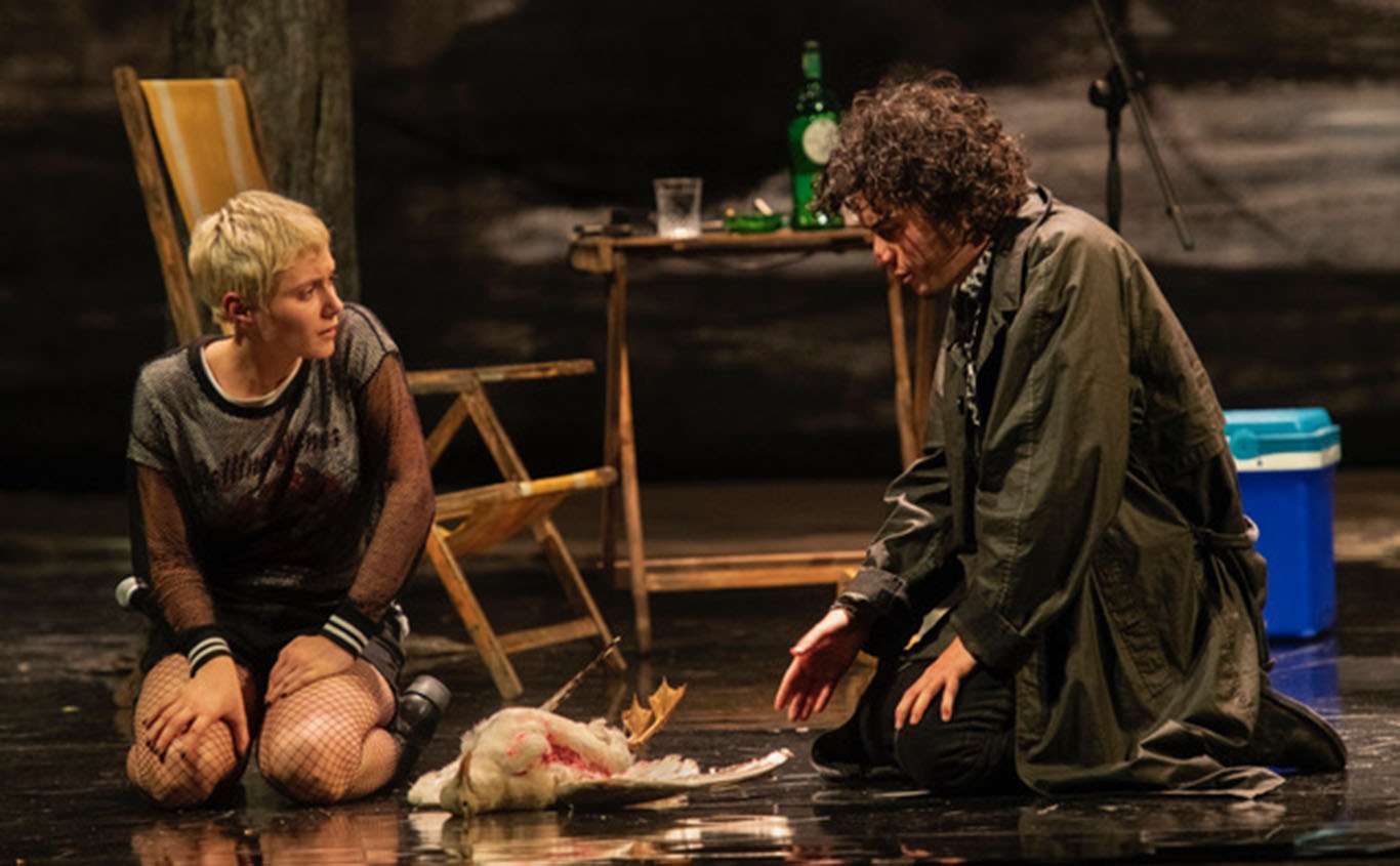 IlGabbianoFilippoDini311025 SerenaPea