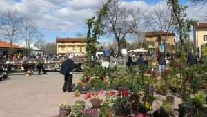 Mostra Ornitologica Blessano 2