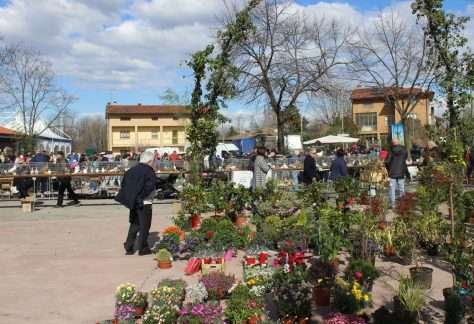 Mostra Ornitologica Blessano 2