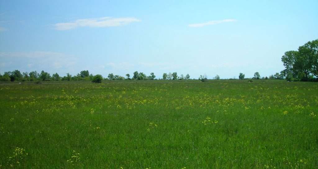 Magredi di Tauriano