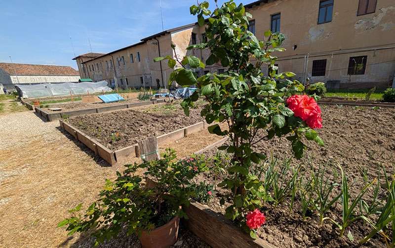 Orti urbani Palmanova 2026 6