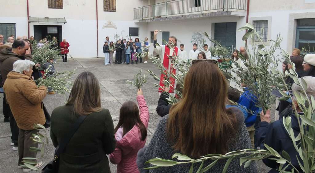 UP RPS palme 04
